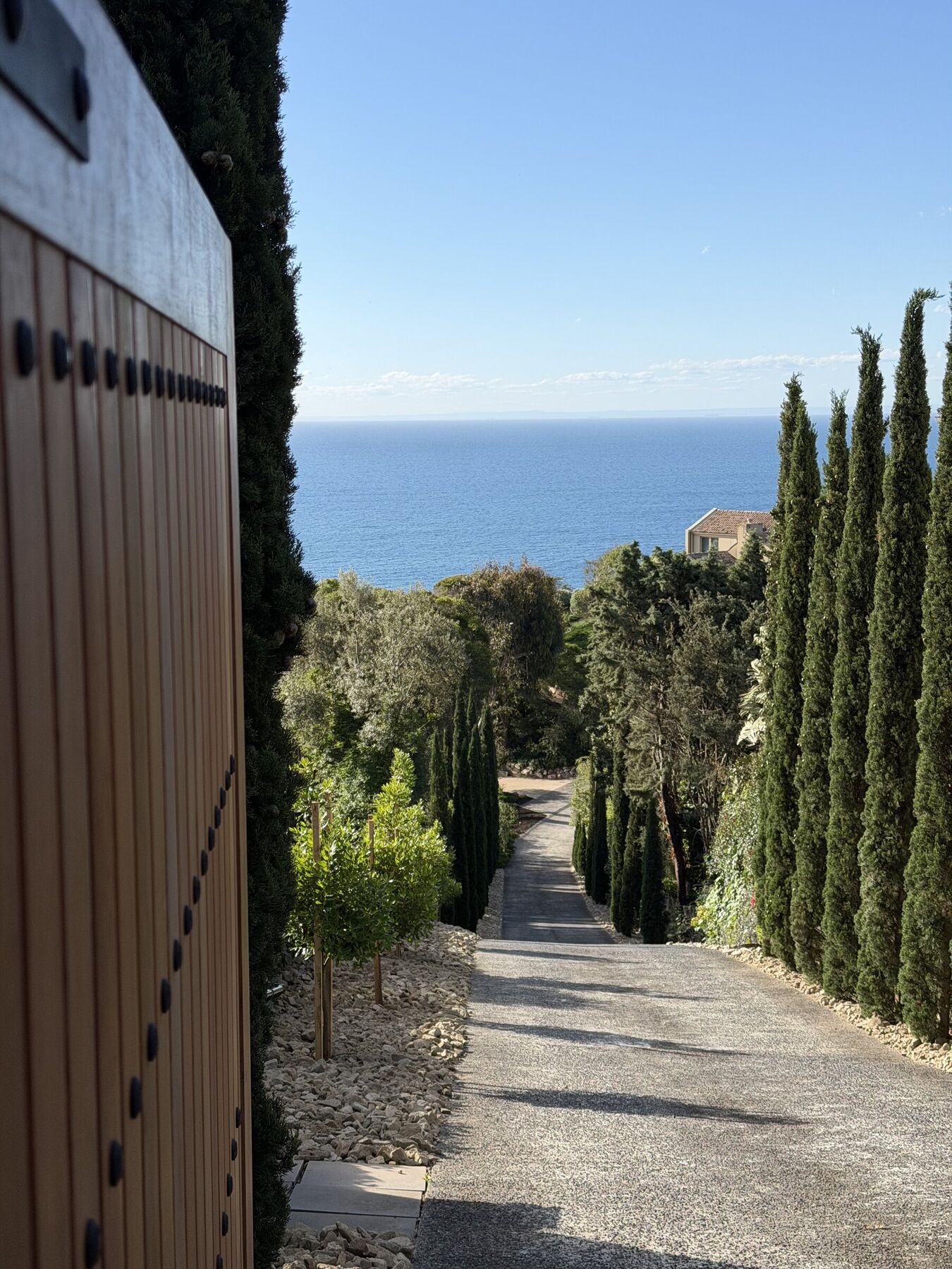 Coastal garden with cypress trees overlooking the ocean on the Mornington Peninsula